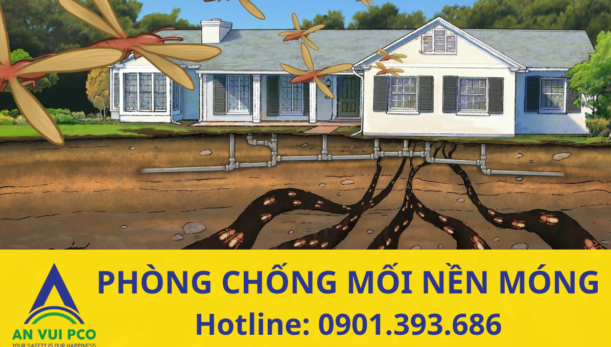 PHƯƠNG PHÁP PHÒNG CHỐNG MỐI NỀN MÓNG